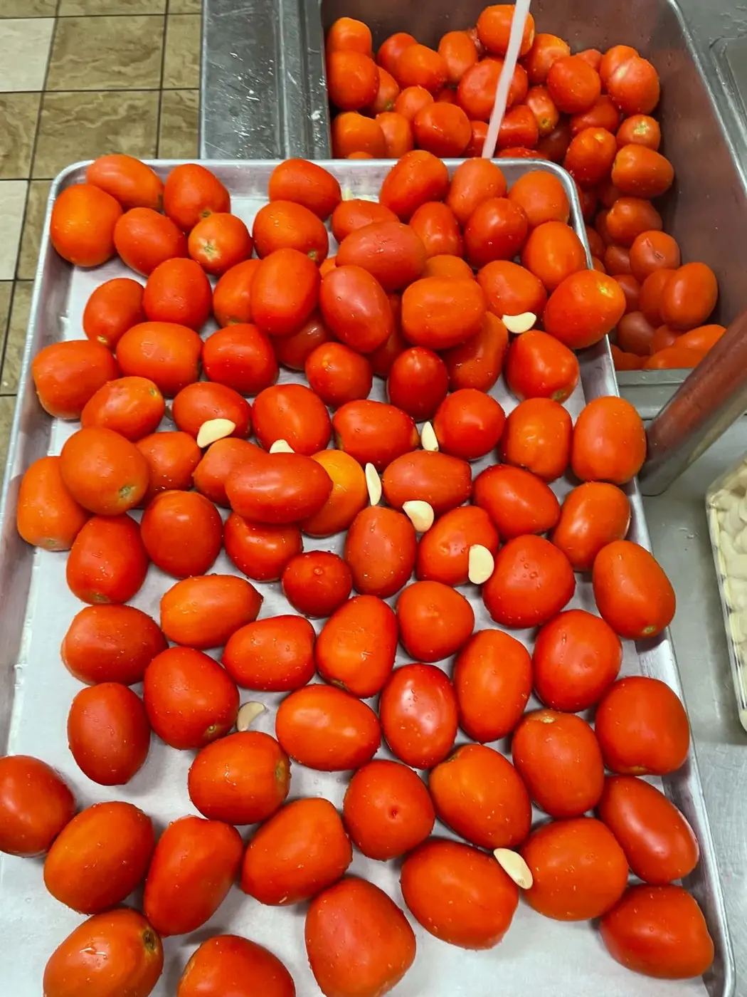 Fresh tomatoes ready for the kitchen